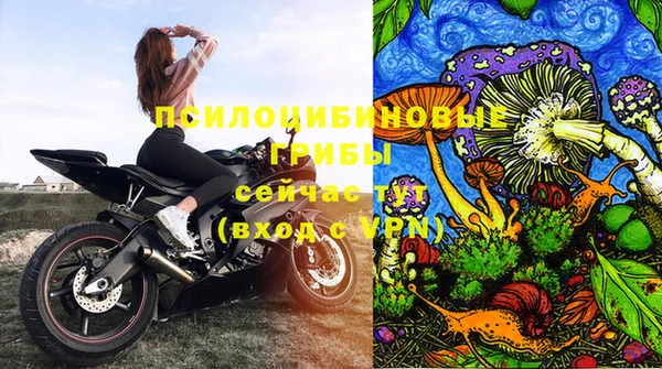 ALPHA-PVP Няндома