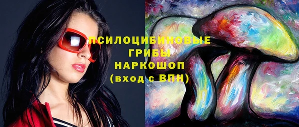 ПСИЛОЦИБИНОВЫЕ ГРИБЫ Новодвинск