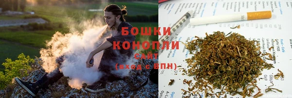 ПСИЛОЦИБИНОВЫЕ ГРИБЫ Новодвинск