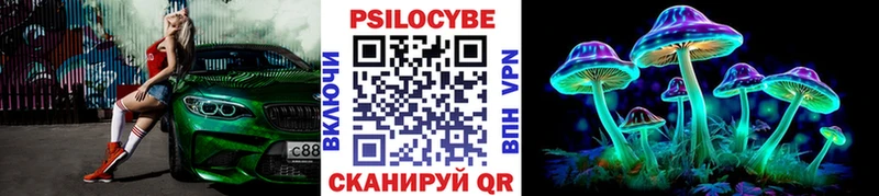 Псилоцибиновые грибы GOLDEN TEACHER  мега сайт  Электроугли  даркнет сайт 
